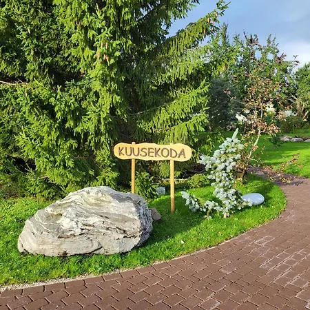 Kuusekoda Holiday home *